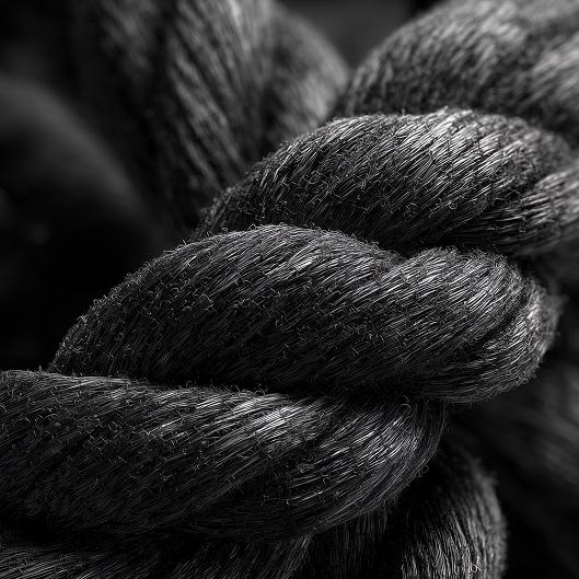 Enchanted Detox Bundle